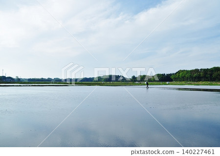 日立中市呈現出寧靜的初夏鄉村景色和綿延的稻田。 日立中市呈現出寧靜的初夏鄉村景色和綿延的稻田。 140227461