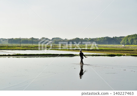 日立中市呈現出寧靜的初夏鄉村景色和綿延的稻田。 日立中市呈現出寧靜的初夏鄉村景色和綿延的稻田。 140227463