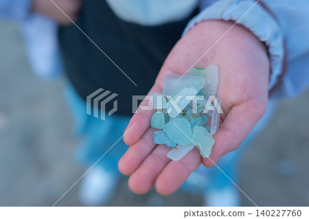 海草 海草 140227760