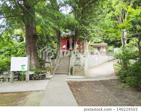Shirahige Shrine, surrounded by fresh greenery 140229503