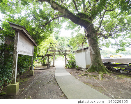 白須神社,四周綠樹環繞 白須神社,四周綠樹環繞 140229505