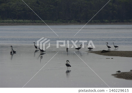 In summer, the Notsuke Peninsula in Hokkaido is a wide sandbar teeming with waterfowl, with Japanese roses blooming at the entrance and a desolate wilderness in the distance. In summer, the Notsuke Peninsula in Hokkaido is a wide sandbar teeming with waterfowl, with Japanese roses blooming at the entrance and a desolate wilderness in the distance. 140229615