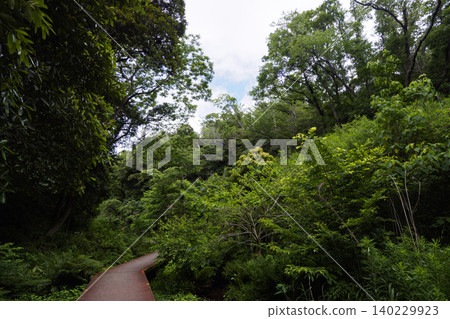 Early summer of Koashiro Bay 140229923