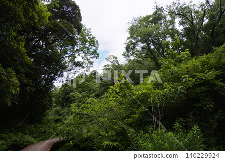 Early summer of Koashiro Bay 140229924