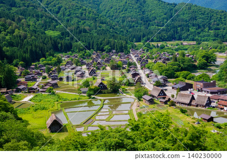 Shirakawa-go in early summer (view from the observation deck of Shiroyama Castle Tower) Shirakawa-go in early summer (view from the observation deck of Shiroyama Castle Tower) 140230000