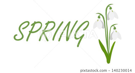 Spring background with snowdrops. Design concept for the protection of the environment, Earth Day, the arrival of spring Spring background with snowdrops. Design concept for the protection of the environment, Earth Day, the arrival of spring 140230014