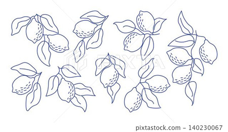 Set of hand-drawn lemon branches in minimal line art style. Perfect for modern aesthetics, botanical designs, kitchen decor, packaging, fabric patterns, summer-themed projects Set of hand-drawn lemon branches in minimal line art style. Perfect for modern aesthetics, botanical designs, kitchen decor, packaging, fabric patterns, summer-themed projects 140230067