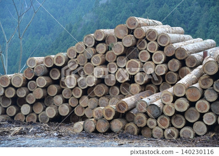 Piles of timber and mountains Piles of timber and mountains 140230116