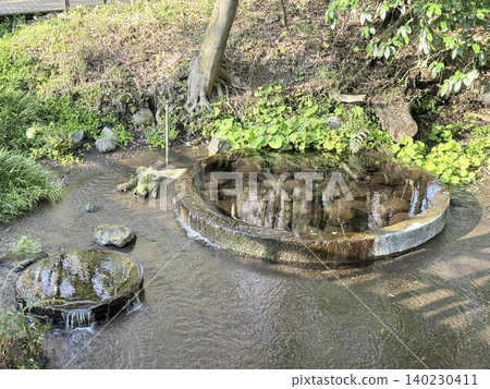The beautiful springs and lush green scenery of the Kakitagawa spring group in Shimizu Town, Shizuoka Prefecture The beautiful springs and lush green scenery of the Kakitagawa spring group in Shimizu Town, Shizuoka Prefecture 140230411