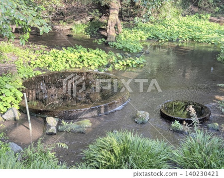 The beautiful springs and lush green scenery of the Kakitagawa spring group in Shimizu Town, Shizuoka Prefecture The beautiful springs and lush green scenery of the Kakitagawa spring group in Shimizu Town, Shizuoka Prefecture 140230421