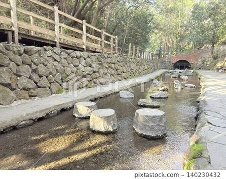 The beautiful springs and lush green scenery of the Kakitagawa spring group in Shimizu Town, Shizuoka Prefecture 140230432
