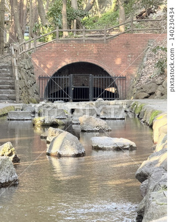 The beautiful springs and lush green scenery of the Kakitagawa spring group in Shimizu Town, Shizuoka Prefecture The beautiful springs and lush green scenery of the Kakitagawa spring group in Shimizu Town, Shizuoka Prefecture 140230434