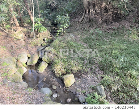 The beautiful springs and lush green scenery of the Kakitagawa spring group in Shimizu Town, Shizuoka Prefecture The beautiful springs and lush green scenery of the Kakitagawa spring group in Shimizu Town, Shizuoka Prefecture 140230445