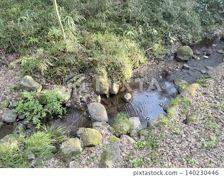 The beautiful springs and lush green scenery of the Kakitagawa spring group in Shimizu Town, Shizuoka Prefecture The beautiful springs and lush green scenery of the Kakitagawa spring group in Shimizu Town, Shizuoka Prefecture 140230446
