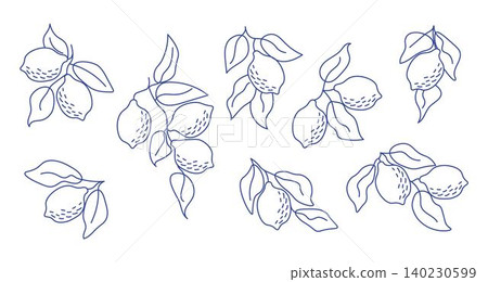 Set of hand-drawn lemon branches in minimal line art style. Perfect for modern aesthetics, botanical designs, kitchen decor, packaging, fabric patterns, summer-themed projects Set of hand-drawn lemon branches in minimal line art style. Perfect for modern aesthetics, botanical designs, kitchen decor, packaging, fabric patterns, summer-themed projects 140230599