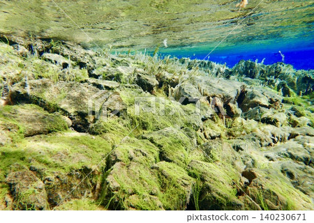 A scene of people enjoying scuba diving at Silfra Rift in Þingvellir National Park, Iceland. 140230671