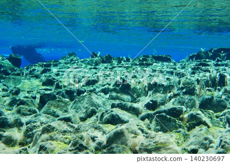 A scene of people enjoying scuba diving at Silfra Rift in Þingvellir National Park, Iceland. A scene of people enjoying scuba diving at Silfra Rift in Þingvellir National Park, Iceland. 140230697