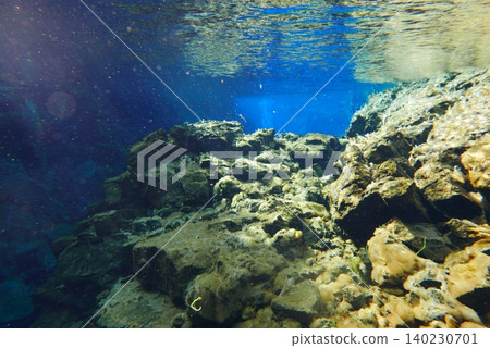 A scene of people enjoying scuba diving at Silfra Rift in Þingvellir National Park, Iceland. A scene of people enjoying scuba diving at Silfra Rift in Þingvellir National Park, Iceland. 140230701