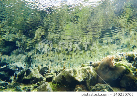 A scene of people enjoying scuba diving at Silfra Rift in Þingvellir National Park, Iceland. 140230705