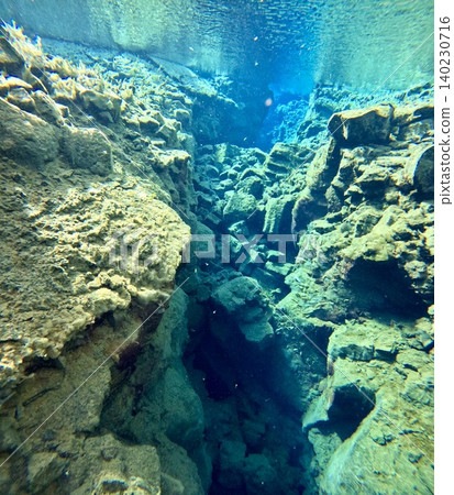 A scene of people enjoying scuba diving at Silfra Rift in Þingvellir National Park, Iceland. A scene of people enjoying scuba diving at Silfra Rift in Þingvellir National Park, Iceland. 140230716