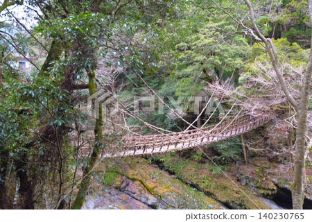 祖谷藤橋(德島縣三好市) 祖谷藤橋(德島縣三好市) 140230765