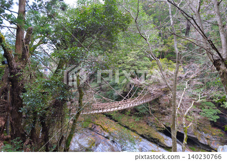 Iya Valley Vine Bridge (Miyoshi City, Tokushima Prefecture) Iya Valley Vine Bridge (Miyoshi City, Tokushima Prefecture) 140230766