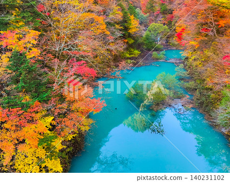 Takase Valley (Autumn) Takase Valley (Autumn) 140231102