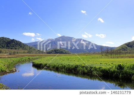 Skunk cabbage in Oze Marsh and the snow-capped Mt. Shibutsu Skunk cabbage in Oze Marsh and the snow-capped Mt. Shibutsu 140231779