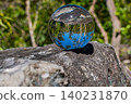 Ball on Forest Ground with Inverted flowers Reflection 140231870