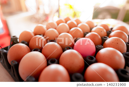 Egg in black plastic tray in chicken farm. Eggs in carton. Hen eggs from organic farm. Poultry product. Outstanding concept. Pink salted egg among crowd brown eggs in plastic tray. Protein food. Egg in black plastic tray in chicken farm. Eggs in carton. Hen eggs from organic farm. Poultry product. Outstanding concept. Pink salted egg among crowd brown eggs in plastic tray. Protein food. 140231900
