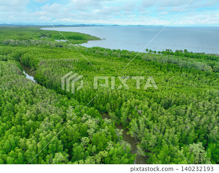 Aerial view green mangrove forest. Carbon storage, climate change mitigation, and conservation of vital marine habitats. Essential for coastal protection, restoration effort. Mangrove tree capture CO2 Aerial view green mangrove forest. Carbon storage, climate change mitigation, and conservation of vital marine habitats. Essential for coastal protection, restoration effort. Mangrove tree capture CO2 140232193