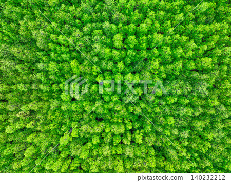 Aerial view green mangrove forest. Natural carbon sinks. Mangroves trees capture CO2. Blue carbon ecosystems. Mangroves absorb carbon dioxide emissions and mitigating global warming. Green ecosystem. Aerial view green mangrove forest. Natural carbon sinks. Mangroves trees capture CO2. Blue carbon ecosystems. Mangroves absorb carbon dioxide emissions and mitigating global warming. Green ecosystem. 140232212