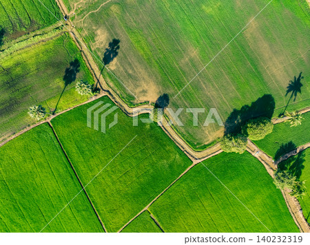 Aerial view of lush green rice field with small winding canal. Sustainable agriculture landscape. Sustainable rice farming. Rice cultivation. Green landscape. Organic farming. Sustainable land use. Aerial view of lush green rice field with small winding canal. Sustainable agriculture landscape. Sustainable rice farming. Rice cultivation. Green landscape. Organic farming. Sustainable land use. 140232319