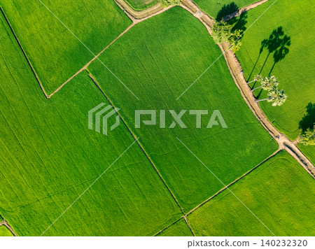 Aerial view of lush green rice field with small winding canal. Sustainable agriculture landscape. Sustainable rice farming. Rice cultivation. Green landscape. Organic farming. Sustainable land use. Aerial view of lush green rice field with small winding canal. Sustainable agriculture landscape. Sustainable rice farming. Rice cultivation. Green landscape. Organic farming. Sustainable land use. 140232320
