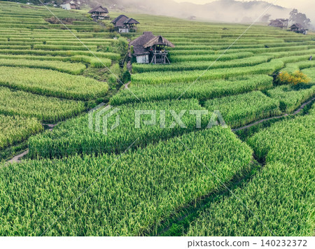 Landscape of green rice terraces and traditional huts in a village near Chiangmai, Thailand. Travel destinations. Beauty of terraced rice fields. Rural life and traditional farming practices in Asia. Landscape of green rice terraces and traditional huts in a village near Chiangmai, Thailand. Travel destinations. Beauty of terraced rice fields. Rural life and traditional farming practices in Asia. 140232372