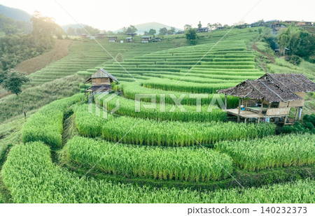 Landscape of green rice terraces and traditional huts in a village near Chiangmai, Thailand. Travel destinations. Beauty of terraced rice fields. Rural life and traditional farming practices in Asia. Landscape of green rice terraces and traditional huts in a village near Chiangmai, Thailand. Travel destinations. Beauty of terraced rice fields. Rural life and traditional farming practices in Asia. 140232373