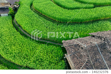 Landscape of green rice terraces and traditional huts in a village near Chiangmai, Thailand. Travel destinations. Beauty of terraced rice fields. Rural life and traditional farming practices in Asia. Landscape of green rice terraces and traditional huts in a village near Chiangmai, Thailand. Travel destinations. Beauty of terraced rice fields. Rural life and traditional farming practices in Asia. 140232376