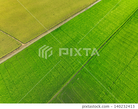 Aerial view of green and yellow rice fields. Sustainable agriculture with carbon neutrality and natural patterns. Sustainable rice farming. Sustainable agriculture and carbon-neutral farming. Aerial view of green and yellow rice fields. Sustainable agriculture with carbon neutrality and natural patterns. Sustainable rice farming. Sustainable agriculture and carbon-neutral farming. 140232413
