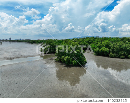 Green mangrove forest landscape. Mangrove ecosystem. Natural carbon sinks. Mangroves capture CO2 from atmosphere. Blue carbon ecosystems. Mangroves absorb carbon dioxide emissions. Biodiversity. Green mangrove forest landscape. Mangrove ecosystem. Natural carbon sinks. Mangroves capture CO2 from atmosphere. Blue carbon ecosystems. Mangroves absorb carbon dioxide emissions. Biodiversity. 140232515