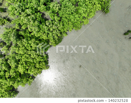Aerial top view of green mangrove forest. Mangrove ecosystem. Natural carbon sinks. Mangroves capture CO2 from the atmosphere. Blue carbon ecosystems. Mangroves absorb carbon dioxide emissions. Aerial top view of green mangrove forest. Mangrove ecosystem. Natural carbon sinks. Mangroves capture CO2 from the atmosphere. Blue carbon ecosystems. Mangroves absorb carbon dioxide emissions. 140232528