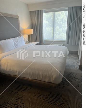Hotel rooms 140232566