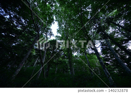 Mt. Yake climb, Northern Alps, Nagano Prefecture Mt. Yake climb, Northern Alps, Nagano Prefecture 140232878