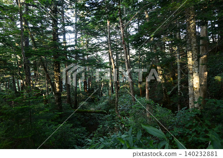 攀登燒岳,北阿爾卑斯山脈,長野縣 攀登燒岳,北阿爾卑斯山脈,長野縣 140232881