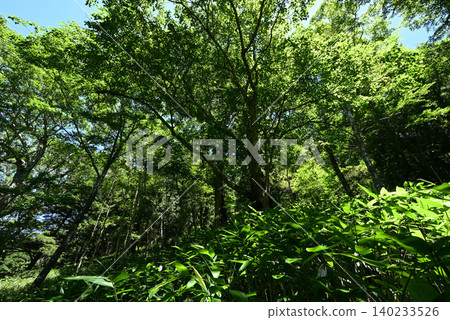 Mt. Yake climb, Northern Alps, Nagano Prefecture Mt. Yake climb, Northern Alps, Nagano Prefecture 140233526