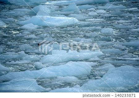 Spegazzini glacier argentina view huge panorama 140233871