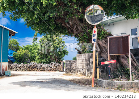 A scene in an Okinawan village featuring a large banyan tree and a convex mirror. A scene in an Okinawan village featuring a large banyan tree and a convex mirror. 140234218