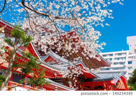One of Japan's three great Kannon temples: Nagoya's Osu Kannon, with cherry blossoms in full bloom. 140234395