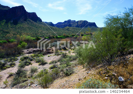 Salt River Recreation Area Arizona Salt River Recreation Area Arizona 140234464