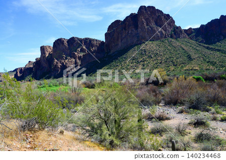 Salt River Recreation Area Arizona 140234468