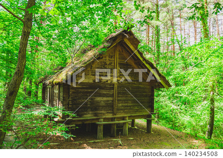 A raised-floor warehouse (reconstructed building) standing in a forest of fresh greenery. A raised-floor warehouse (reconstructed building) standing in a forest of fresh greenery. 140234508